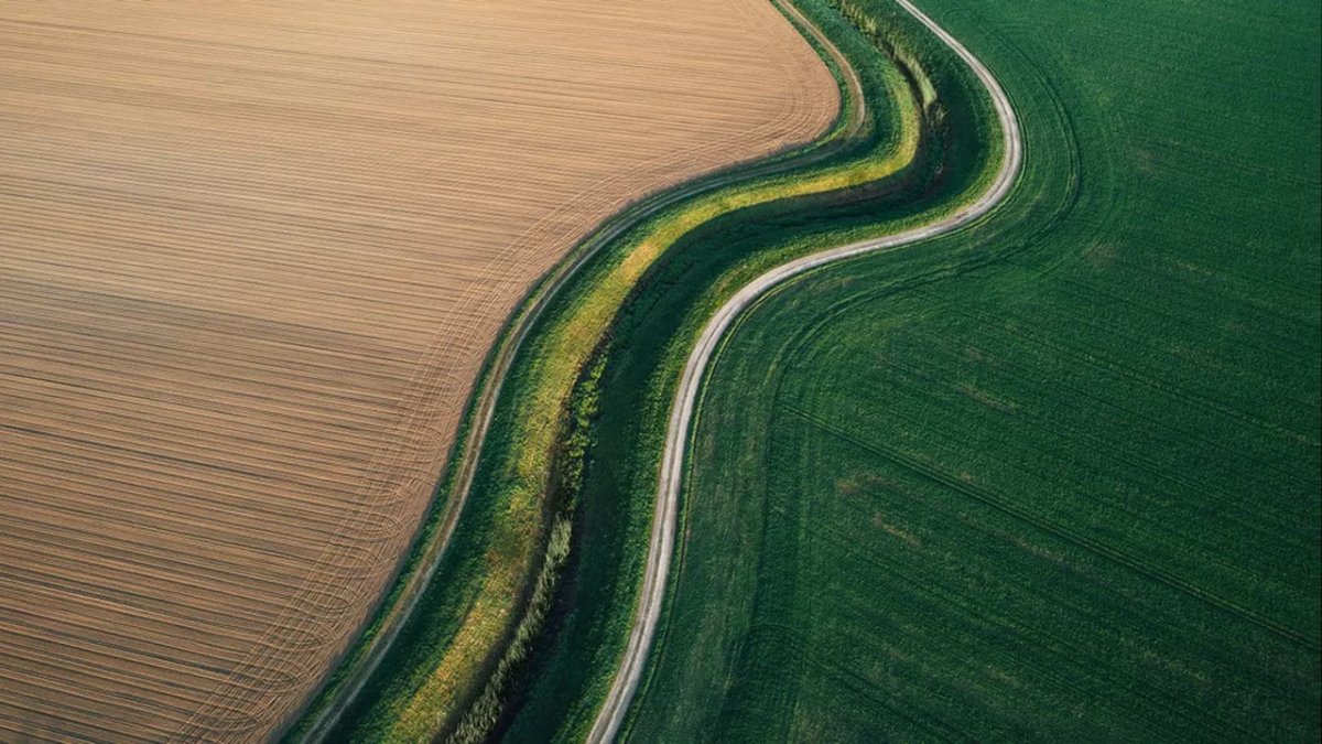 Environnement