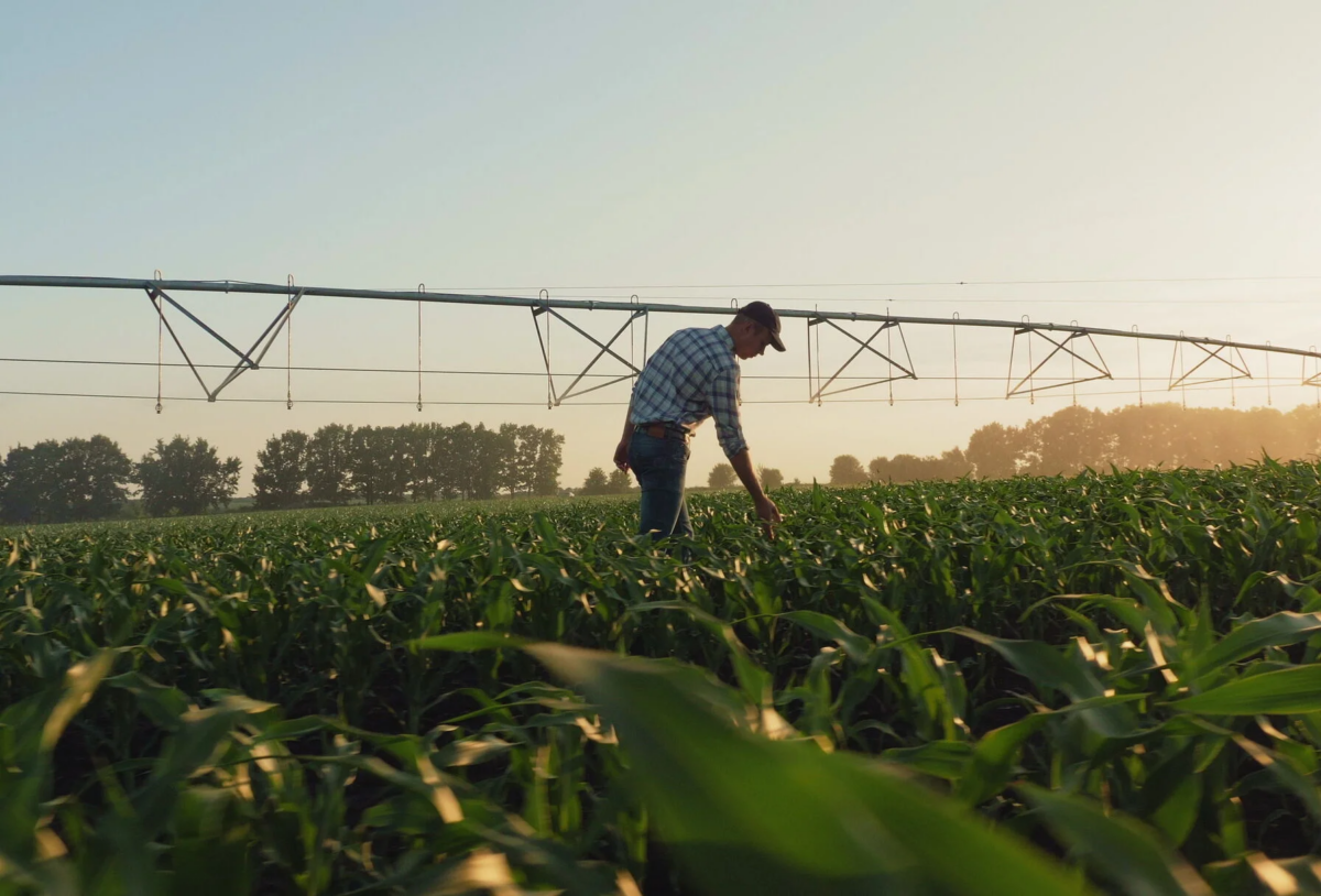 Irrigation
